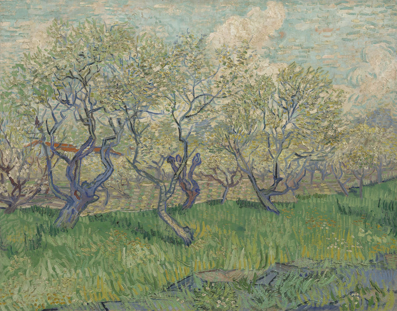 Frutteto in fiore - Vincent van Gogh