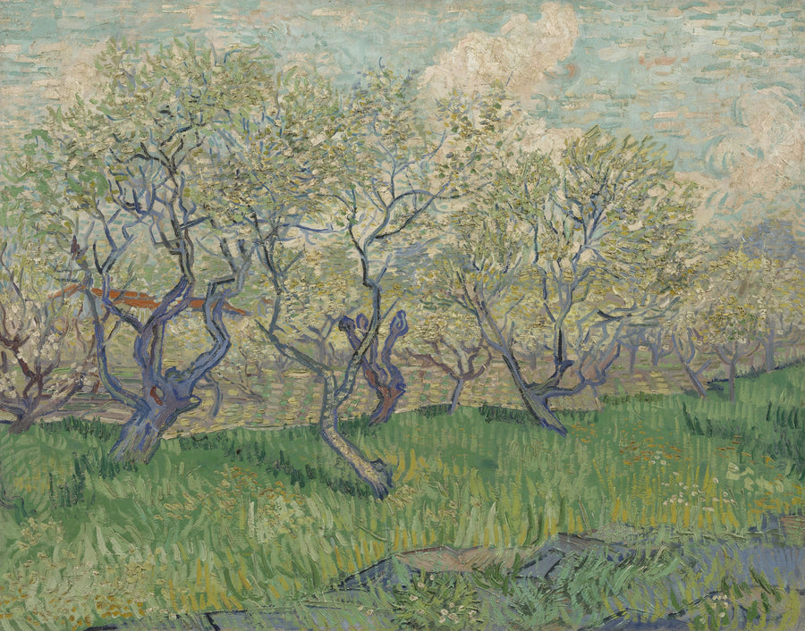 Frutteto in fiore - Vincent van Gogh