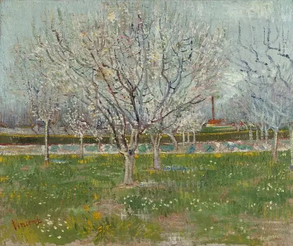 Frutteto in fiore - Vincent van Gogh