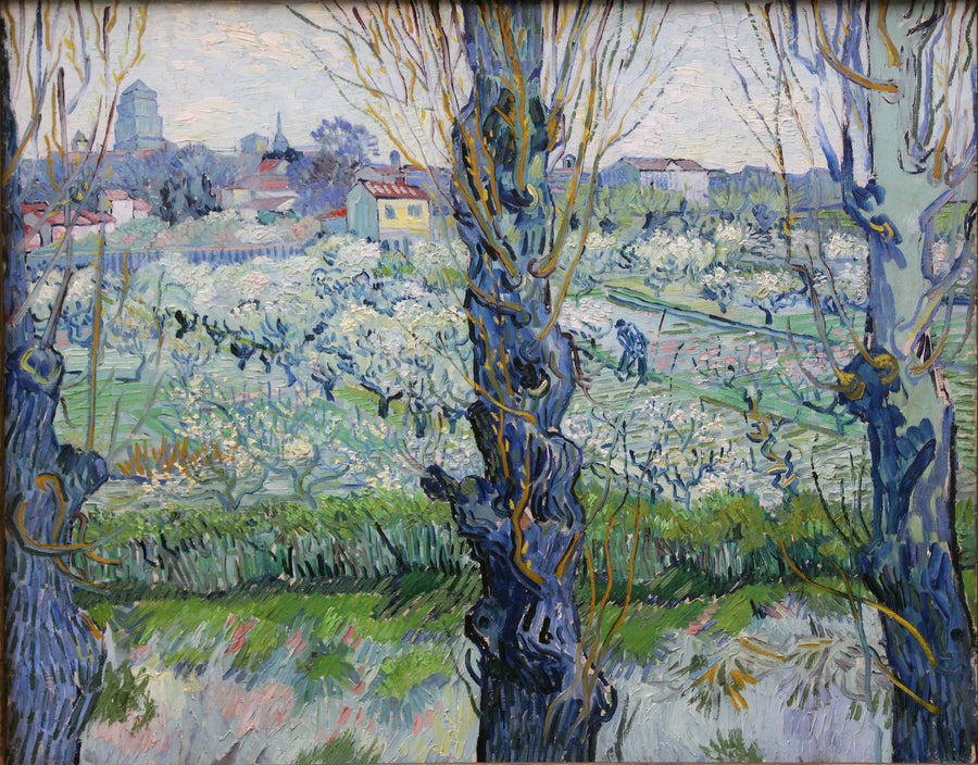 Frutteto in fiore con vista su Arles - Vincent van Gogh