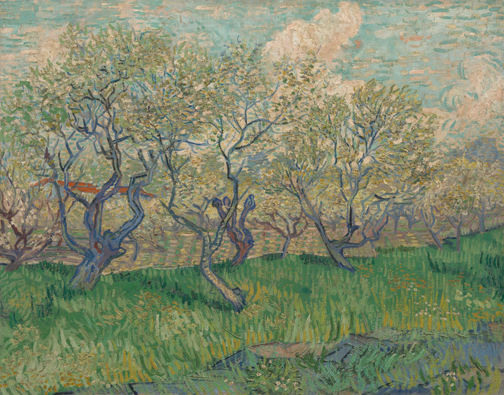 Frutteto in fiore, F511 - Vincent van Gogh