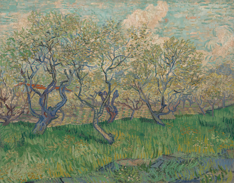 Frutteto in fiore - Vincent van Gogh