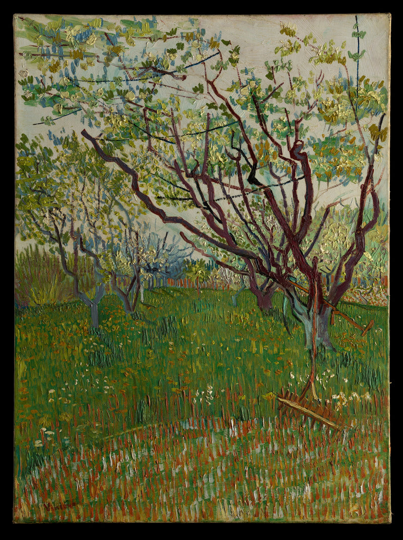 Frutteto in fiore - Vincent van Gogh
