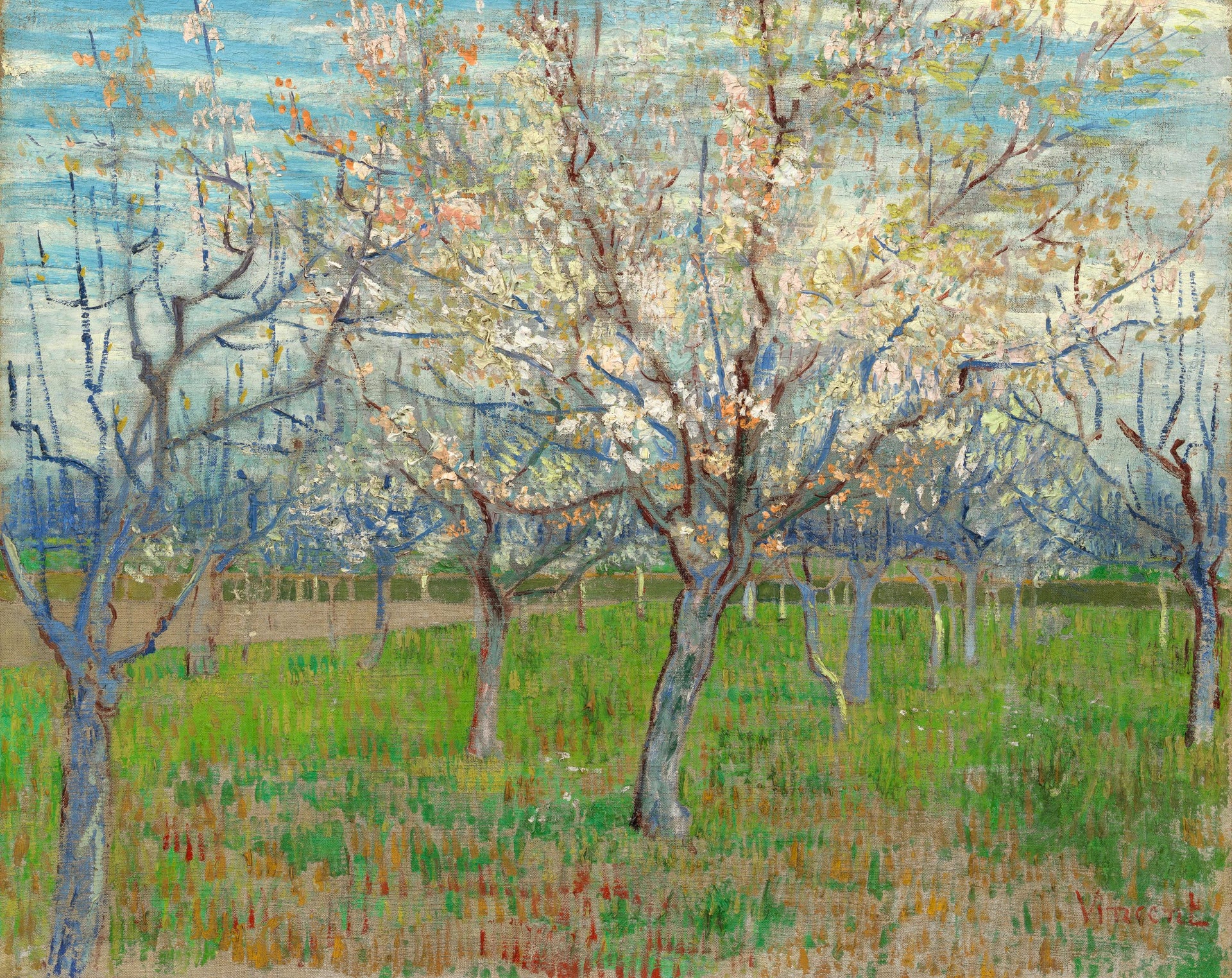 Le Verger rose, F555 — abricotiers en fleurs roses et blanches peints par Vincent van Gogh à Arles