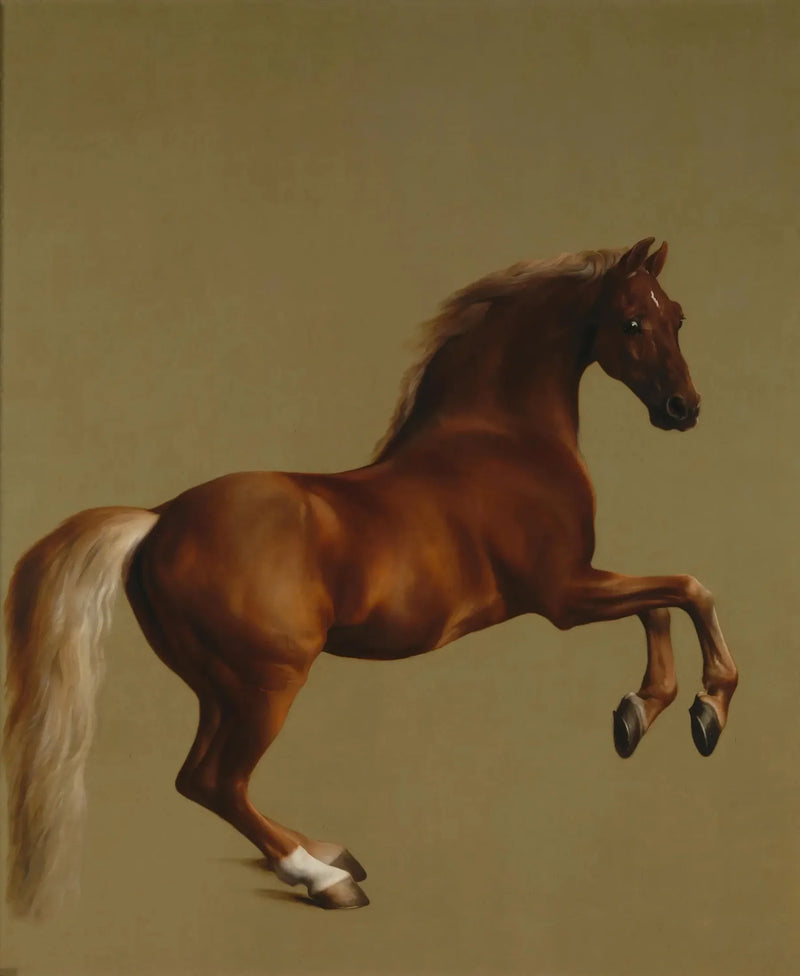 Giacca fischiante - George Stubbs