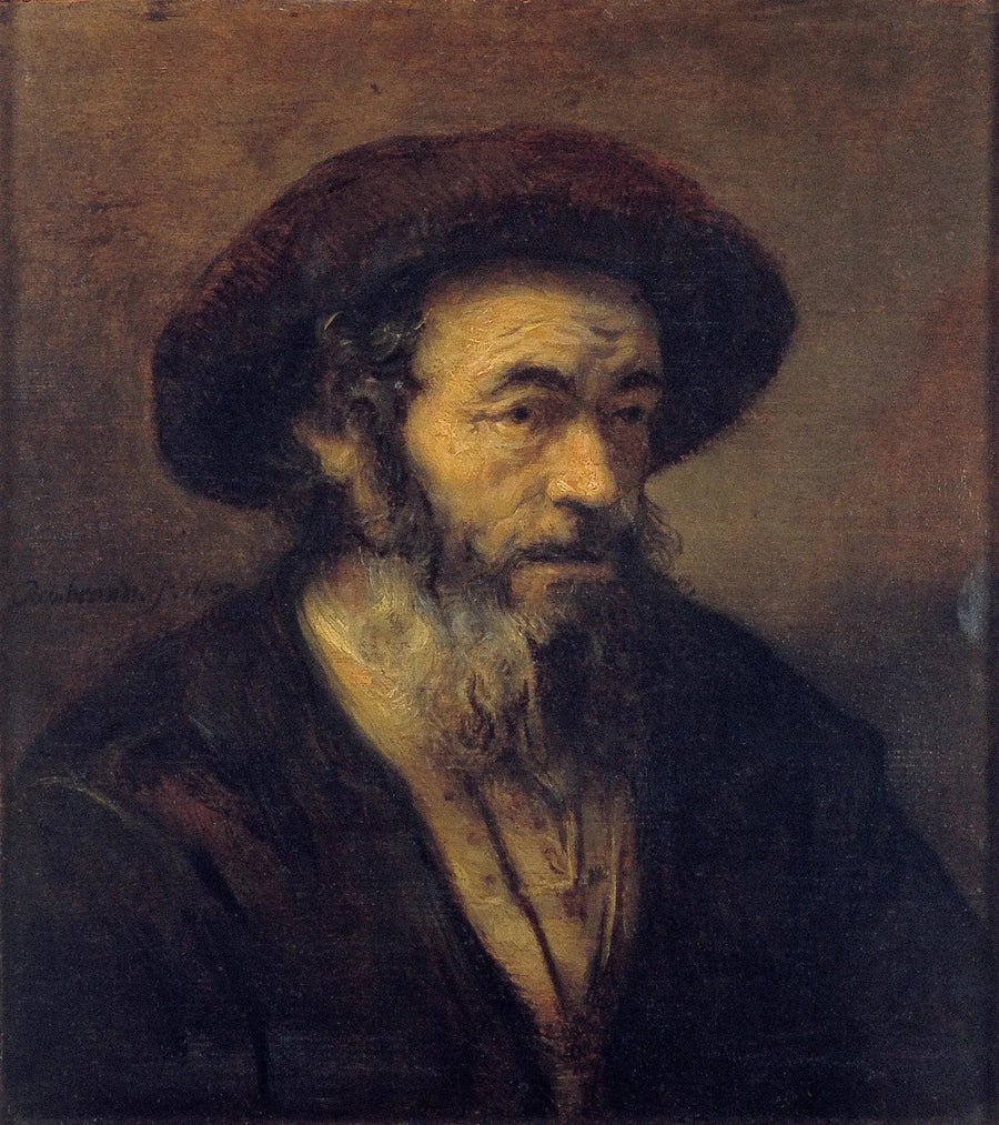 Vecchio uomo con barba che guarda a destra - Rembrandt