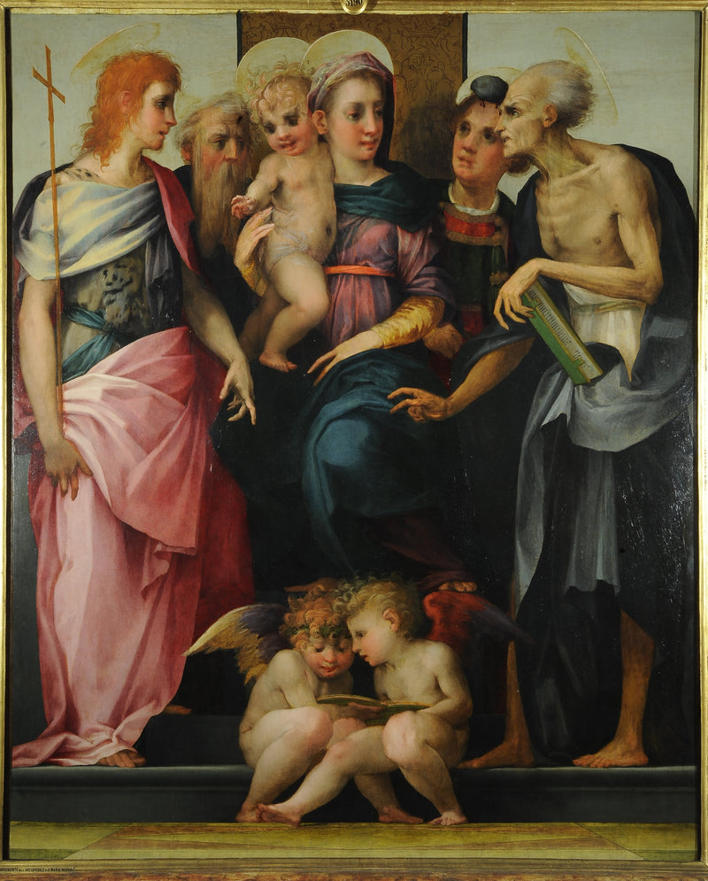 Vergine con il Bambino in maestà con i santi Giovanni Battista, Antonio abate, Stefano e Girolamo - Rosso Fiorentino