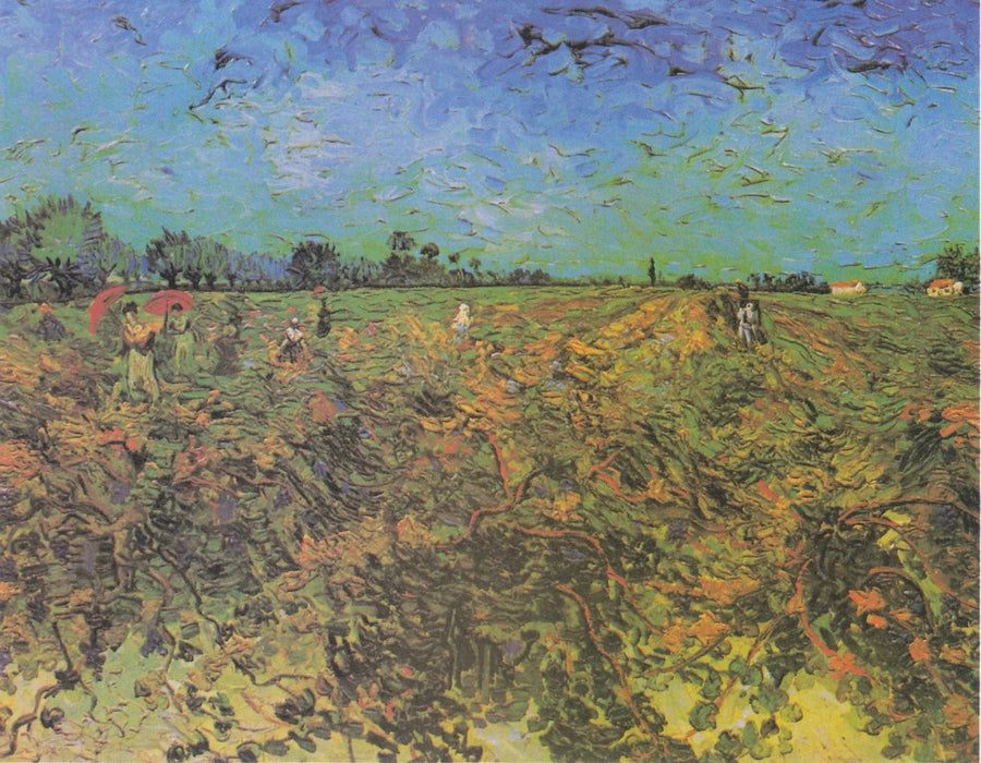 Vigna verde - Vincent van Gogh