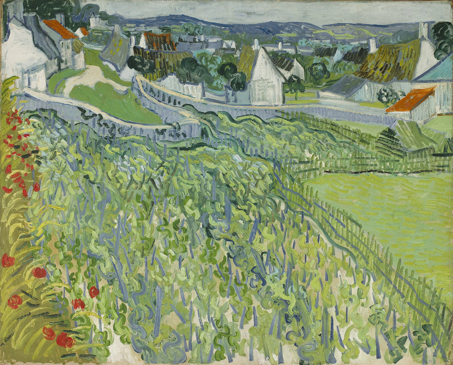 Vigneti di Auvers - Vincent van Gogh