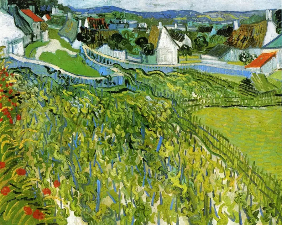 Vigneti di Auvers - Vincent van Gogh