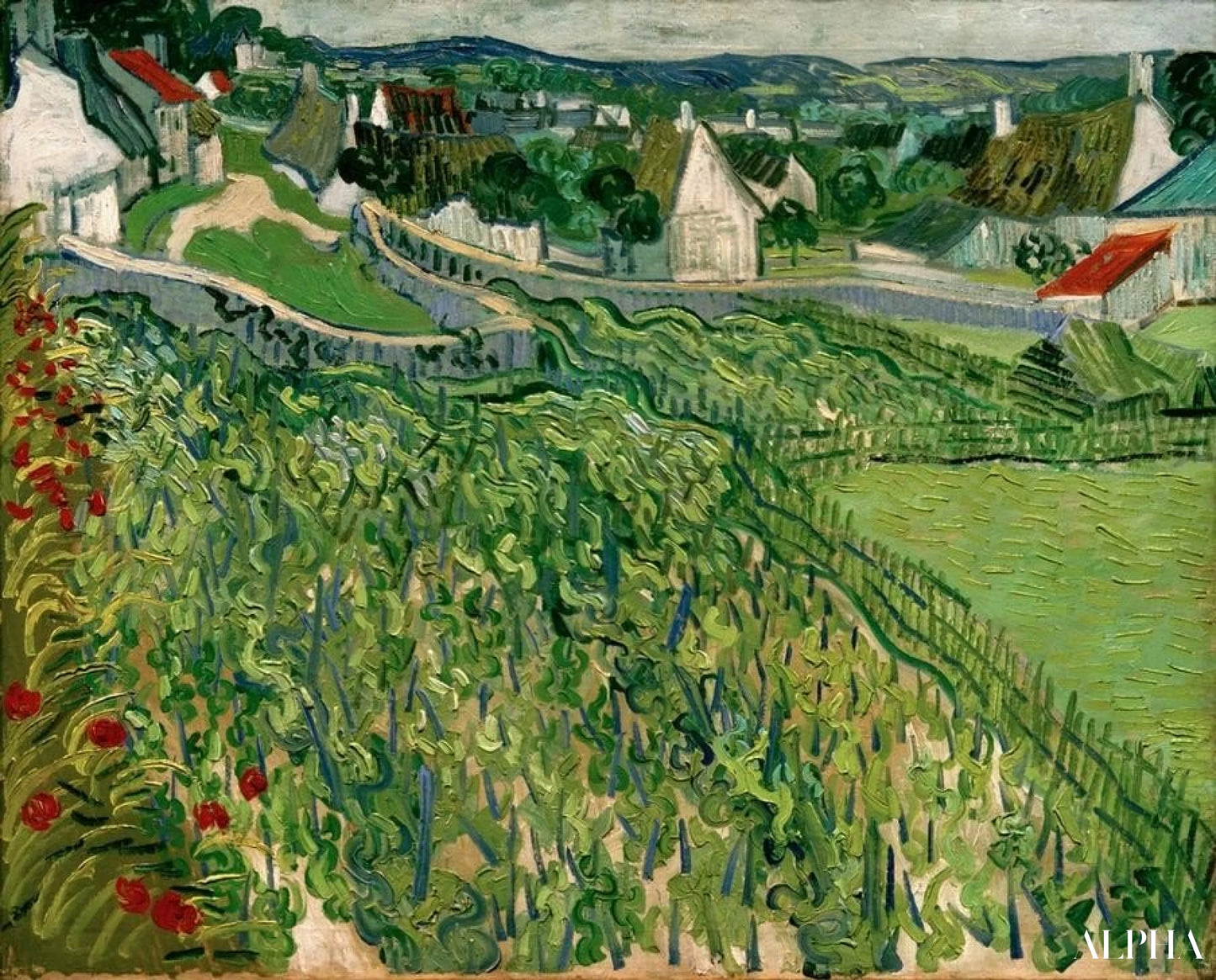 Vigneti di Auvers - Van Gogh - Riproduzioni di quadri e dipinti di alta gamma