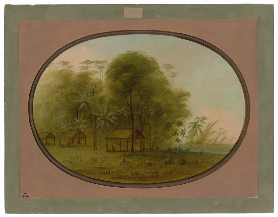 Village d'Arowak - George Catlin