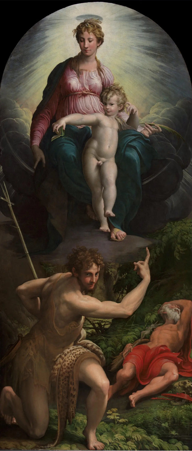 Visione di san Gerolamo - Parmigianino