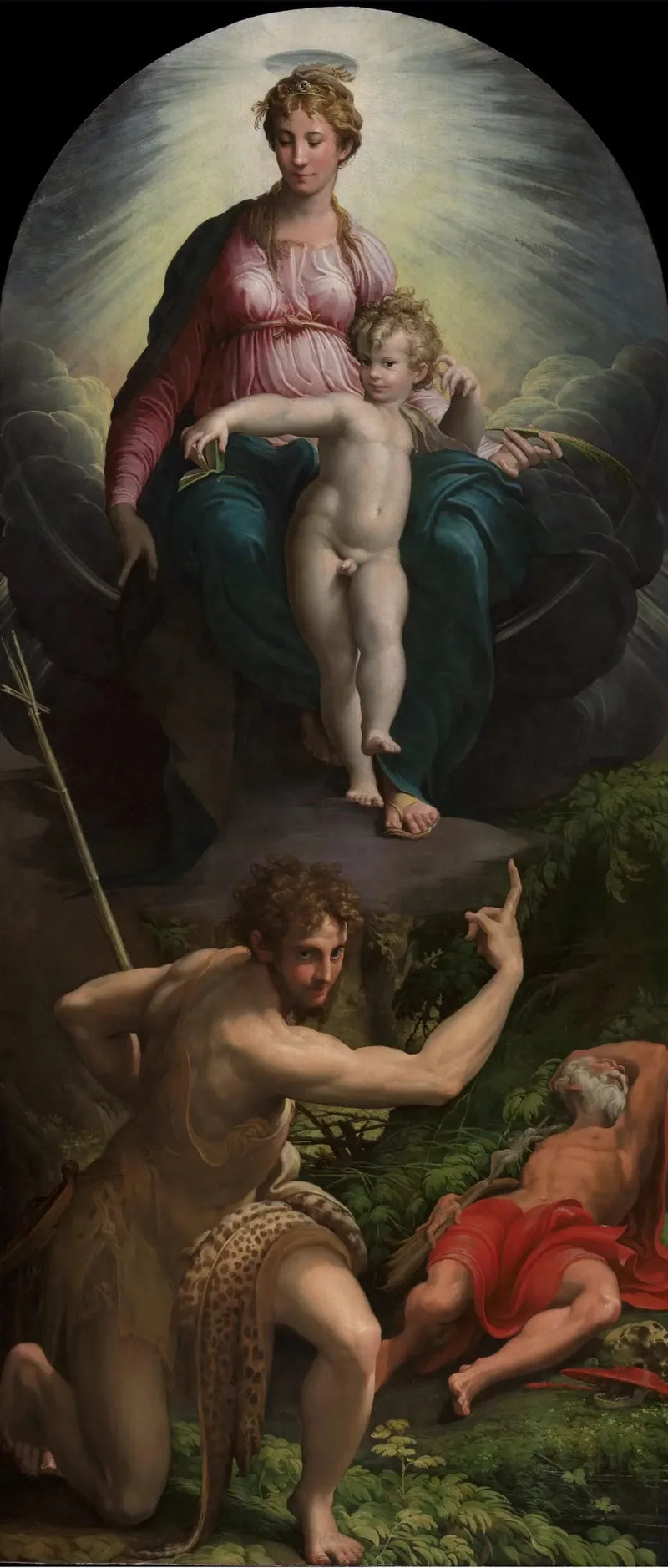 Visione di san Gerolamo - Parmigianino