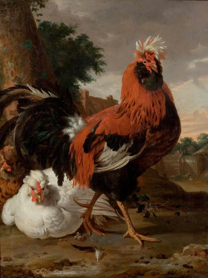 Pollame - Melchior de Hondecoeter