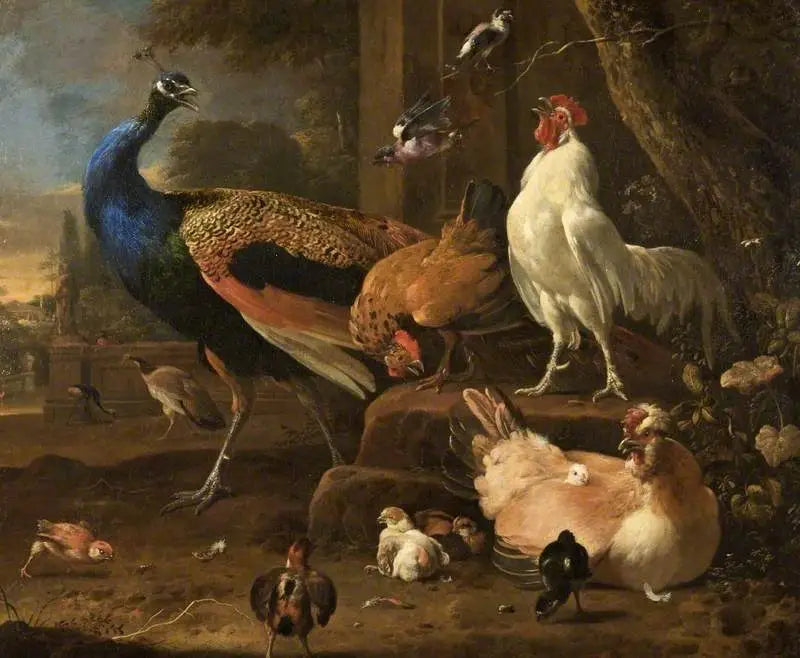 Pollame - Melchior de Hondecoeter