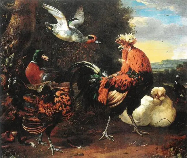 Pollame - Melchior de Hondecoeter