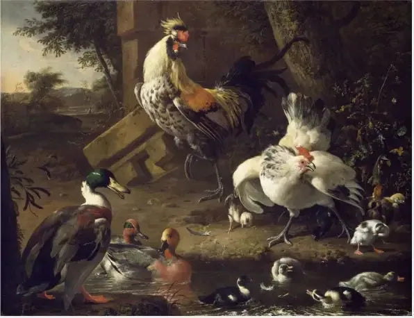 Pollame - Melchior de Hondecoeter