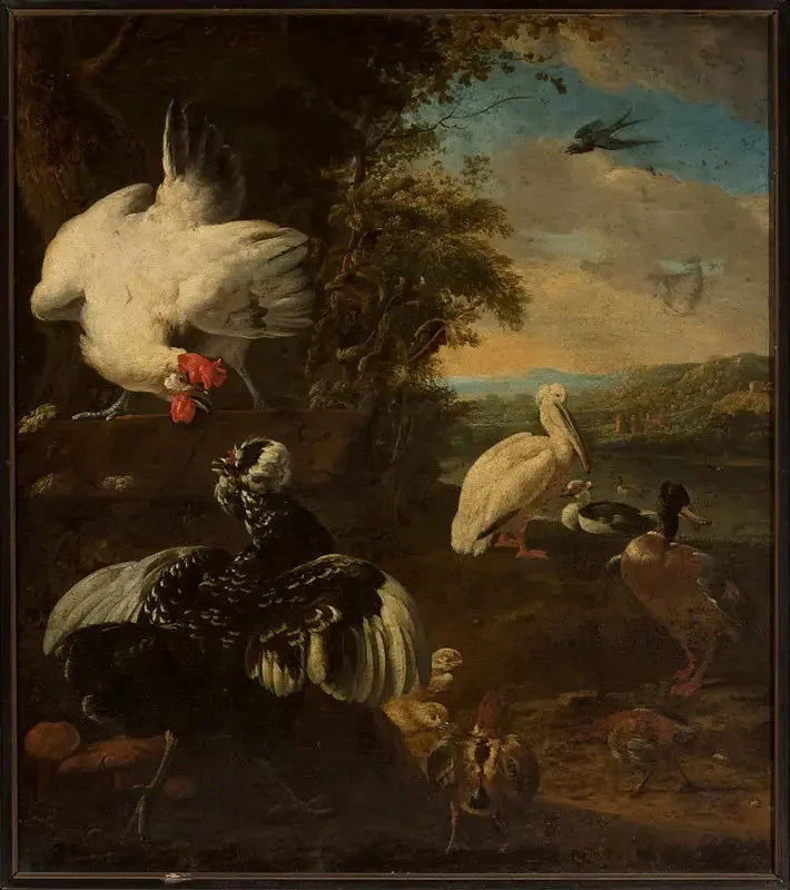 pollame domestico - Melchior de Hondecoeter