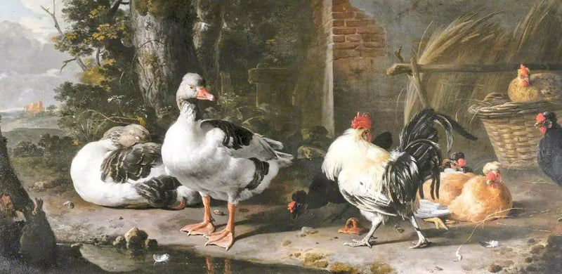 Pollame e oche - Melchior de Hondecoeter