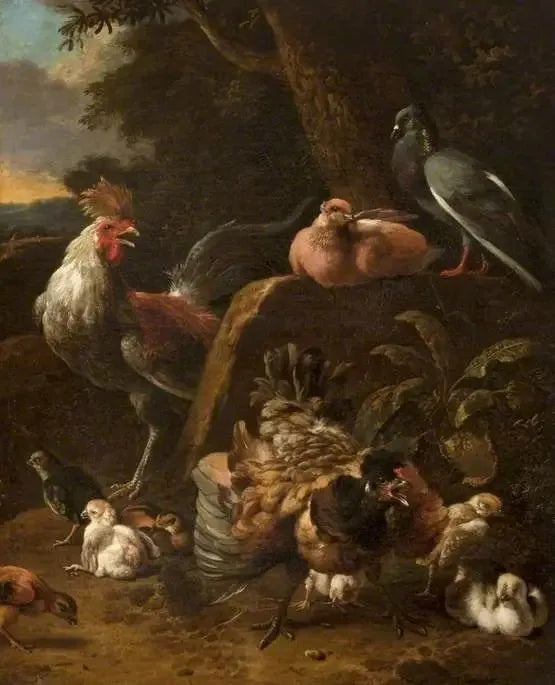 Pollame e colombi - Melchior de Hondecoeter