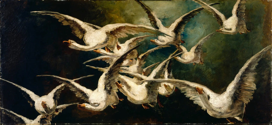 Uno stormo di oche - Elizabeth Nourse