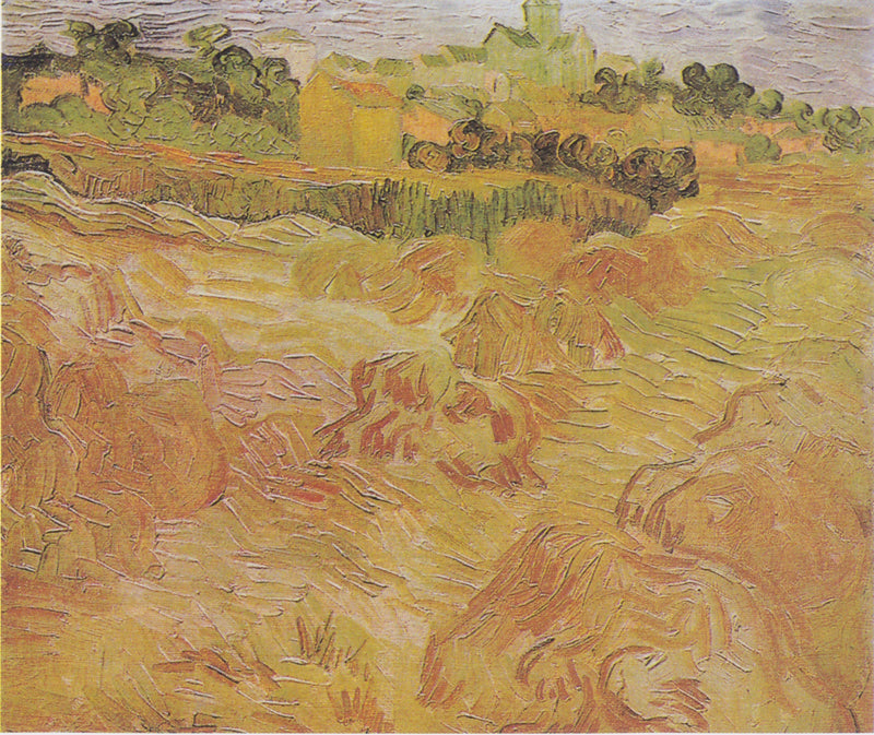 Campi di grano con Auvers sullo sfondo - Vincent van Gogh