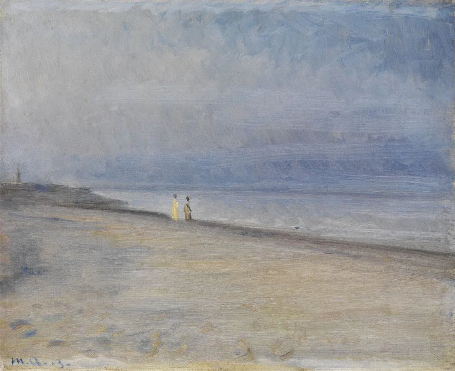 Vista di una spiaggia - Michael Peter Ancher