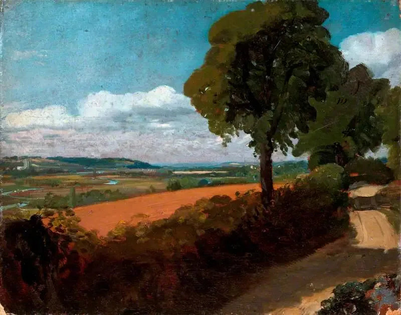 Vista di Dedham dalla strada che porta dalla chiesa di East Bergholt a Flatford - John Constable