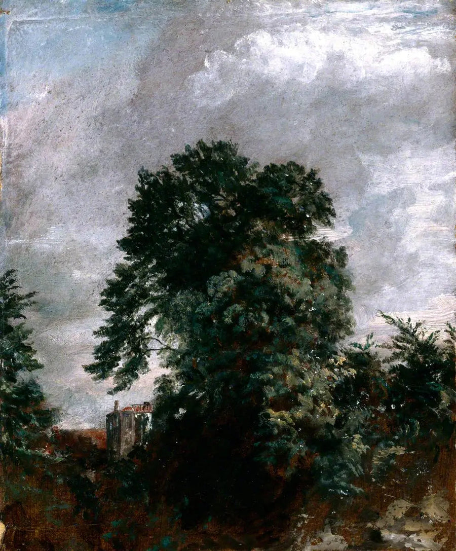 Veduta lontana del boschetto, Hampstead - John Constable