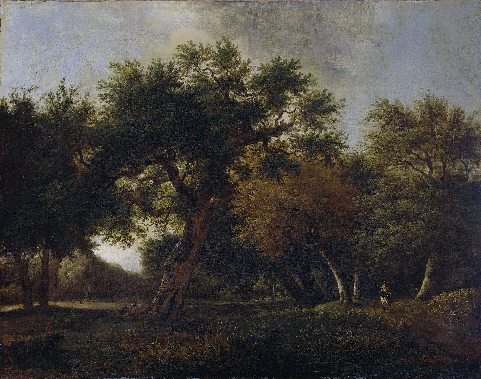 Vue sur la forêt - Jan van Kessel