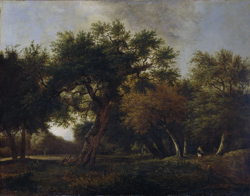 Vue sur la forêt - Jan van Kessel