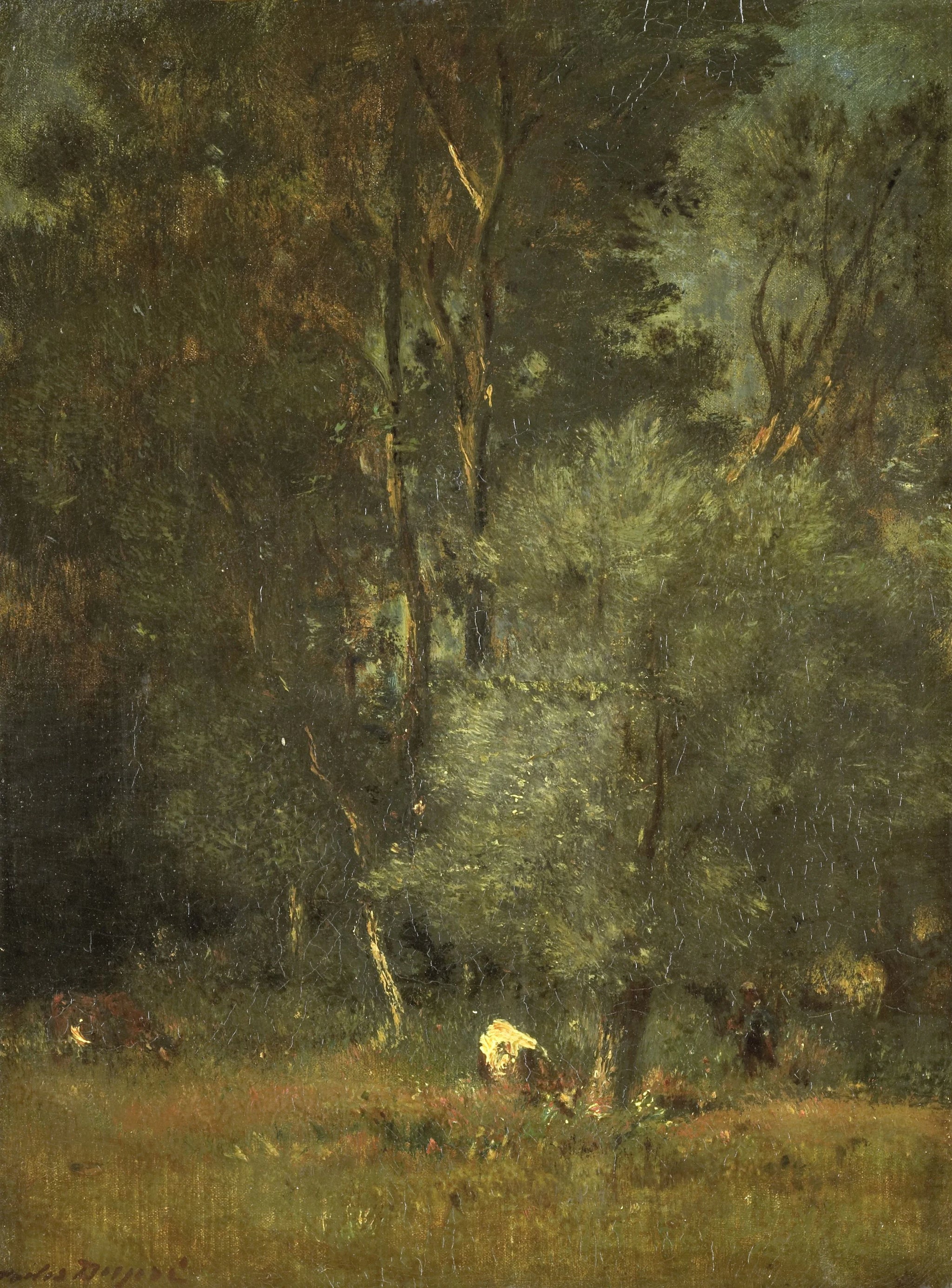 Vue sur la forêt - Jules Dupré