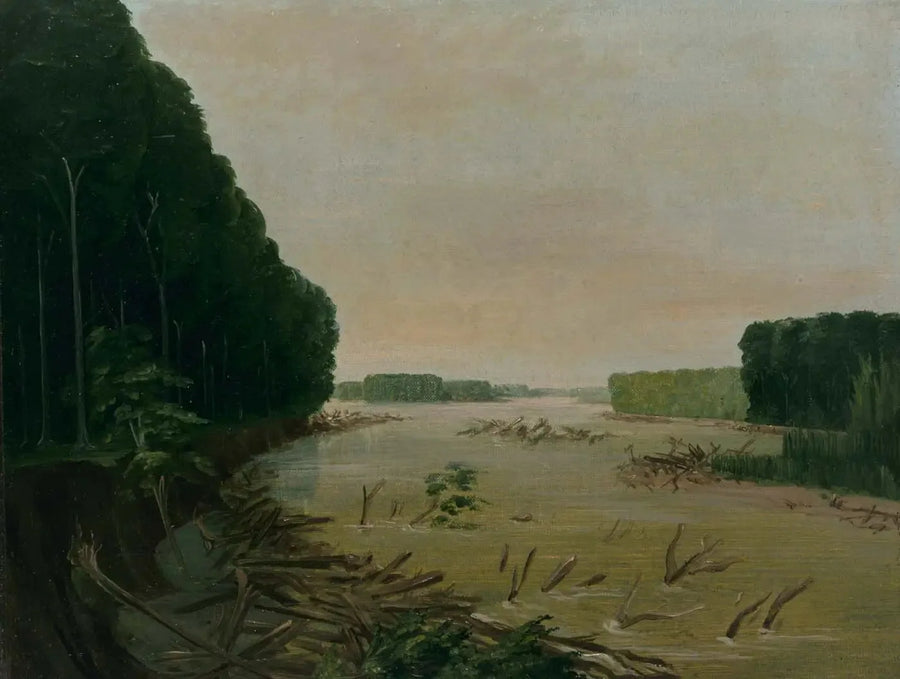 Vista sul Missouri, le banchine alluvionali si sgretolano, a 966 chilometri sopra Saint-Louis - George Catlin