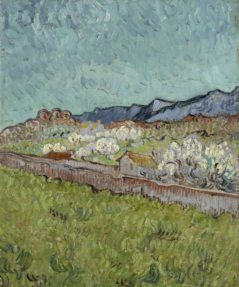 Vista sulle Alpilles - Vincent van Gogh