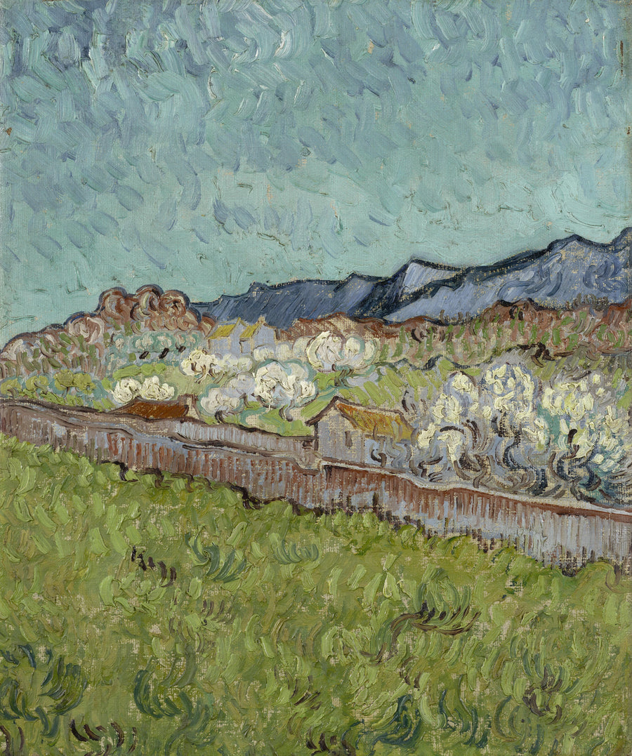 Vista sulle Alpilles - Vincent van Gogh