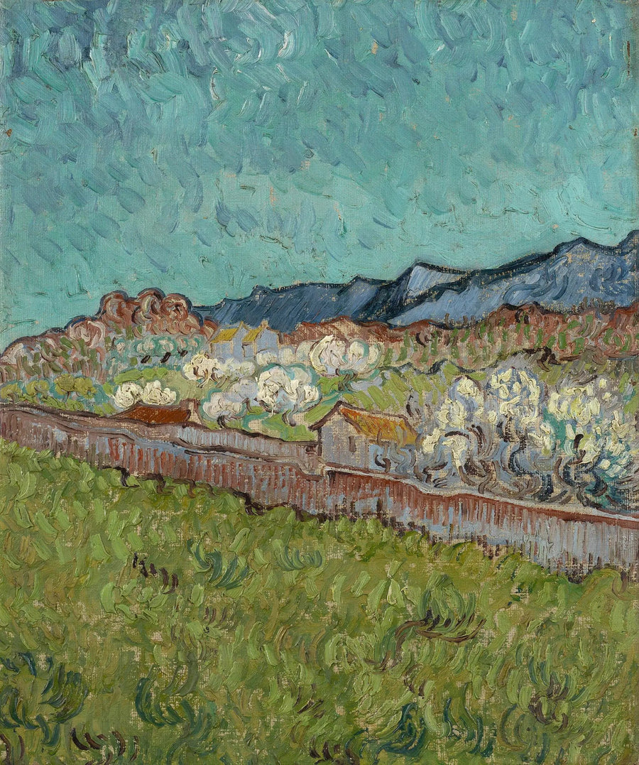 Vista sulle Alpilles - Vincent van Gogh