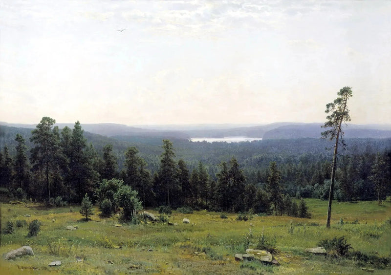 Vedute lontane della foresta - Ivan Chichkine