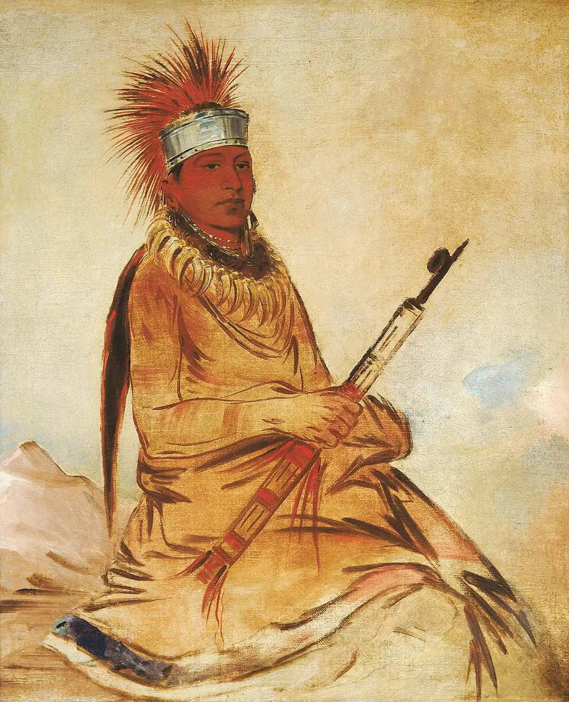 W'y-ee-yogh, uomo di buon senso, un uomo onesto - George Catlin