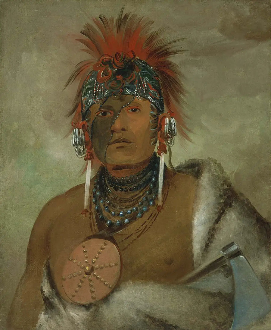 Wá-hón-ga-shee, No Fool, un grande idiota - George Catlin