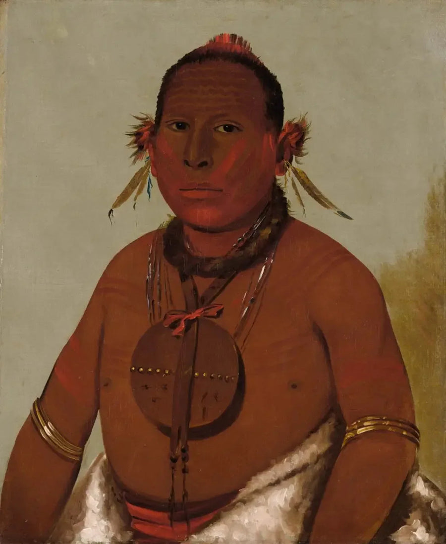 Wa-sáw-me-saw, Tonnerre rugissant, il più giovane figlio del Falco nero - George Catlin