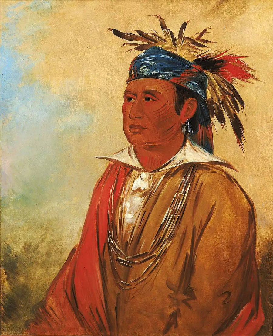Wah-pón-jee-a, Il Cigno, un Guerriero - George Catlin
