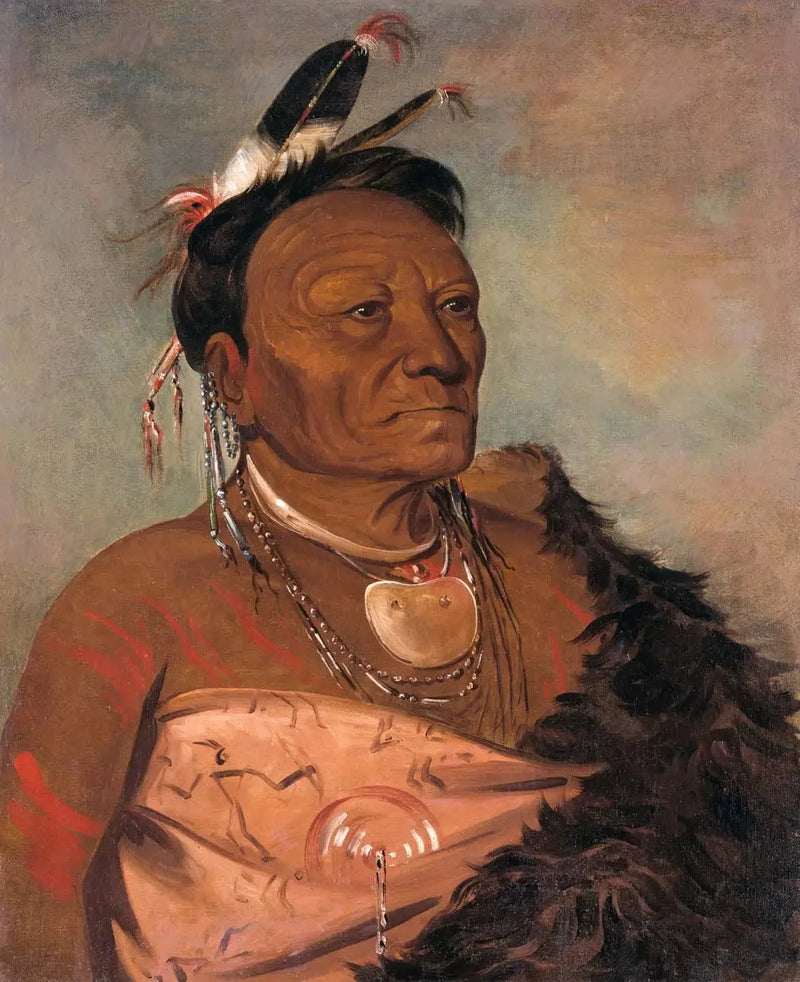 Wee-tá-ra-shá-ro, capo della tribù - George Catlin