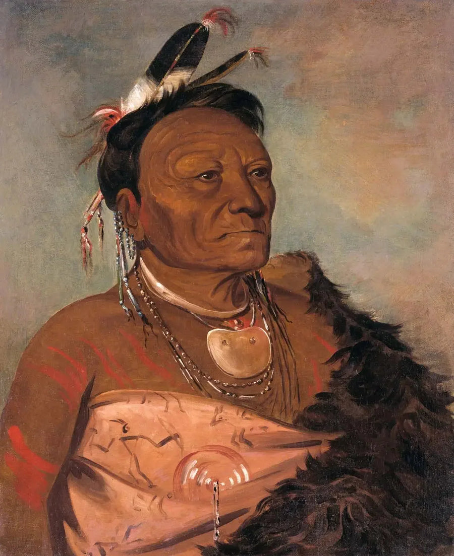 Wee-tá-ra-shá-ro, capo della tribù - George Catlin