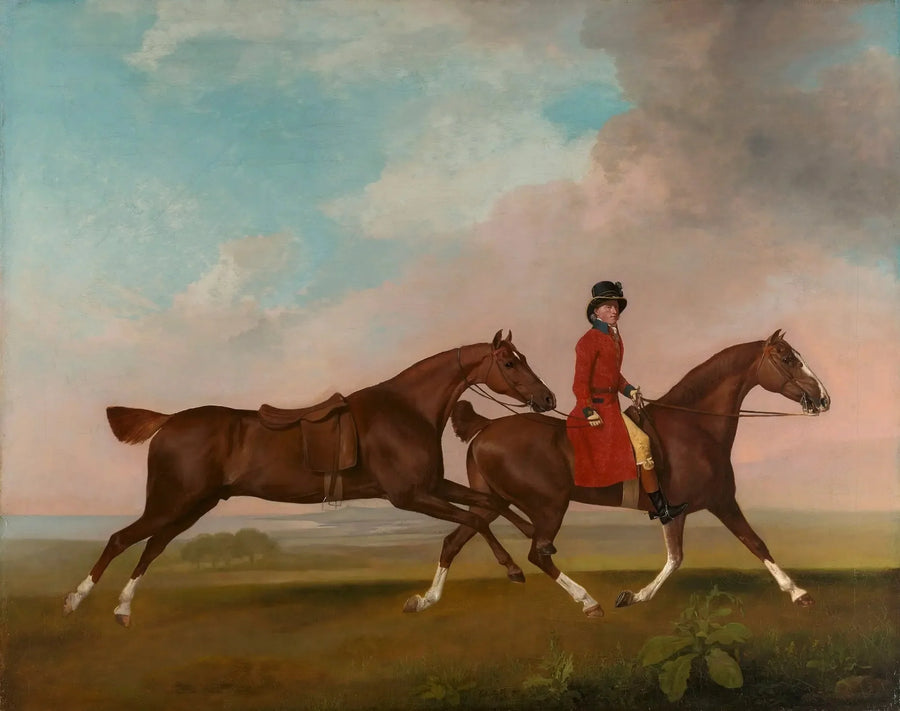 William Anderson con due cavalli da sella - George Stubbs