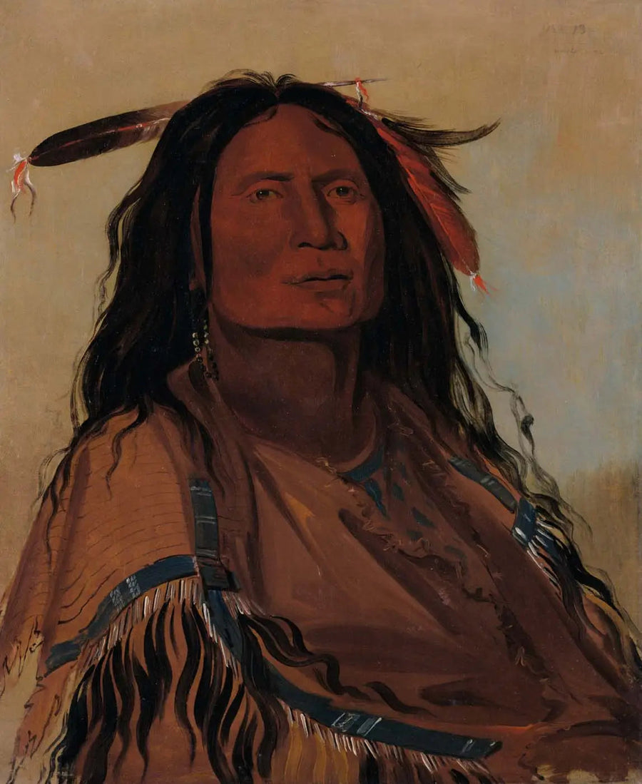Wúk-mi-ser, mais, un guerriero Miniconjou - George Catlin