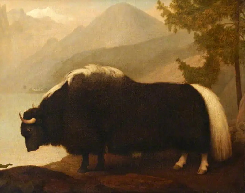 Yak - George Stubbs