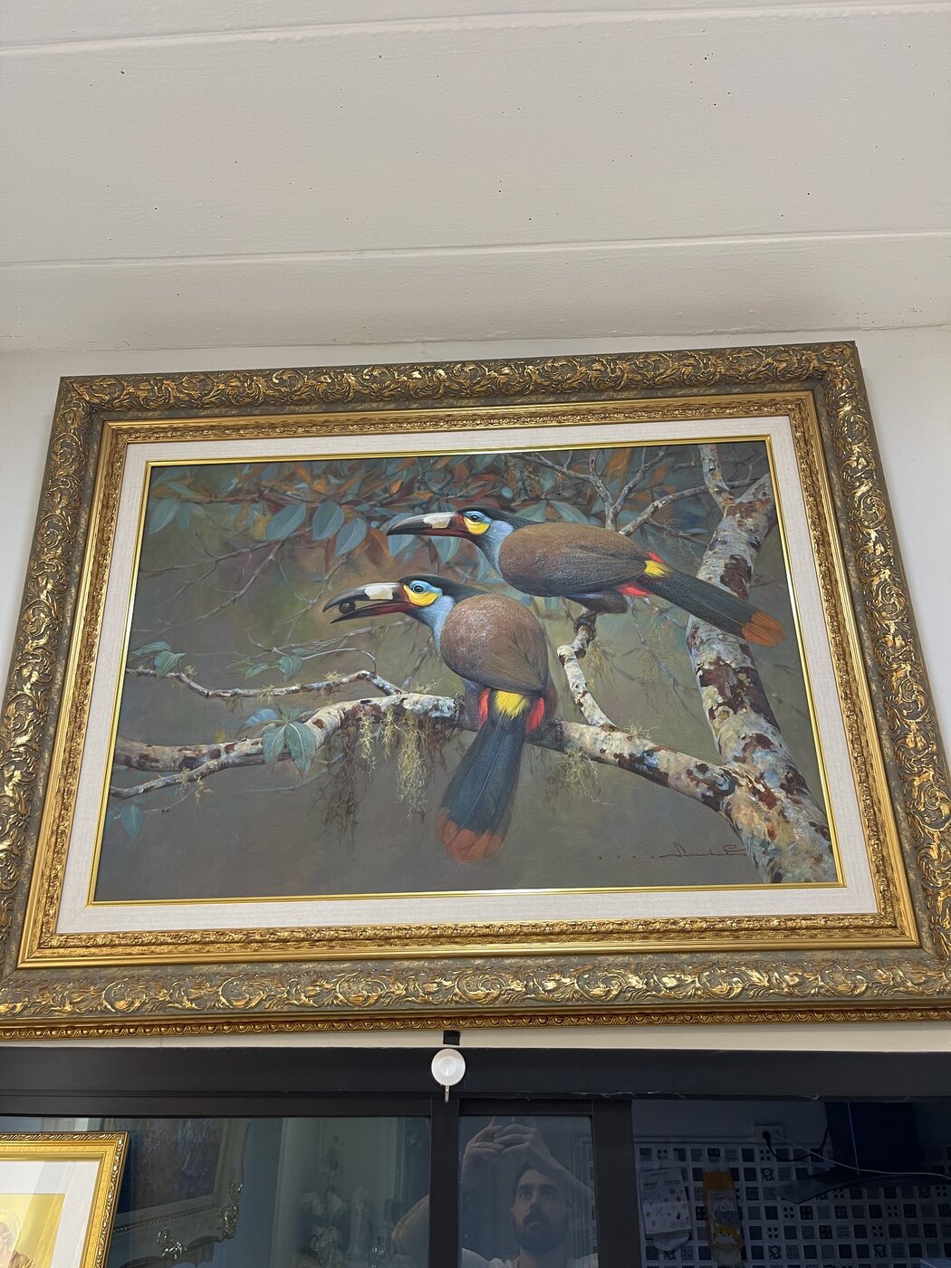 Toucan painting in an ornate gold frame